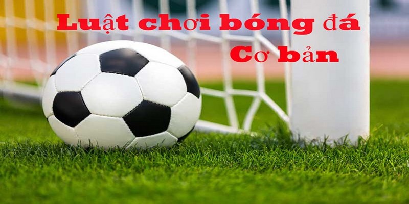 Luật bóng đá 11 người được FIFA công nhận