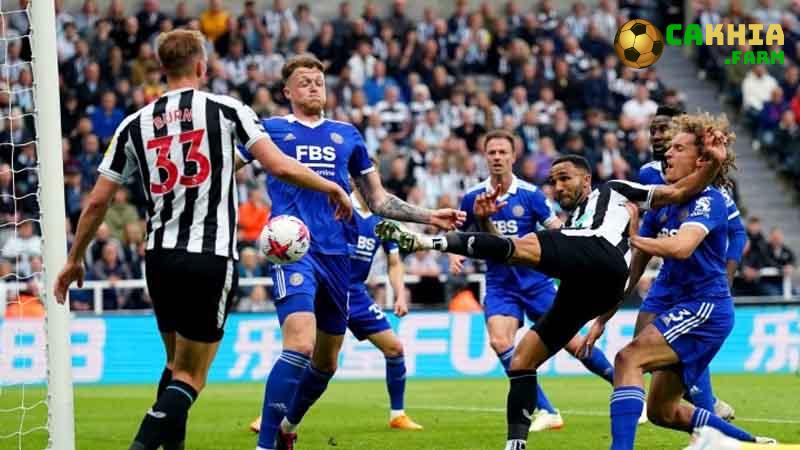 Newcastle khởi đầu mùa giải với nhiều ấn tượng